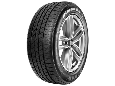 RADAR DIMAX AS-8 tire